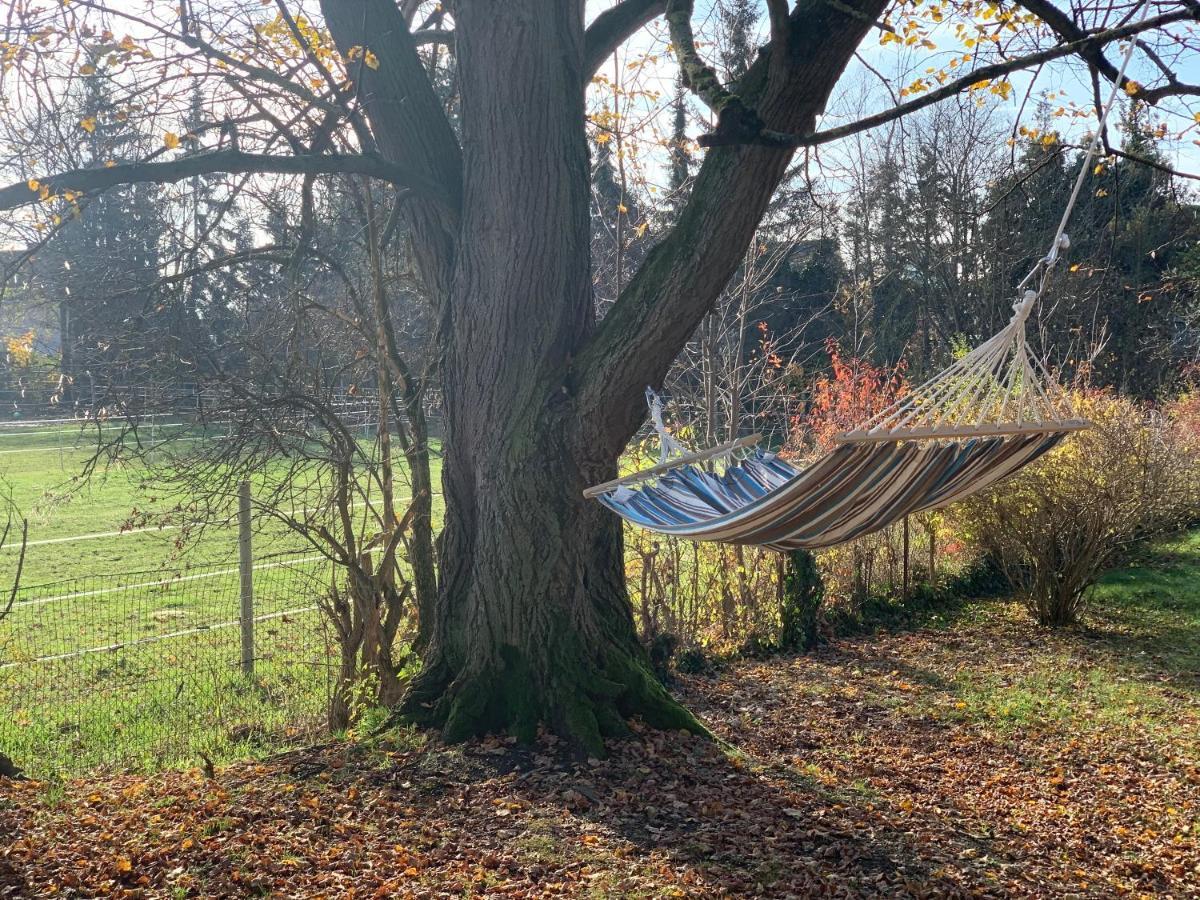 Ned Haus Villa Feldkirchen bei Graz Eksteriør bilde