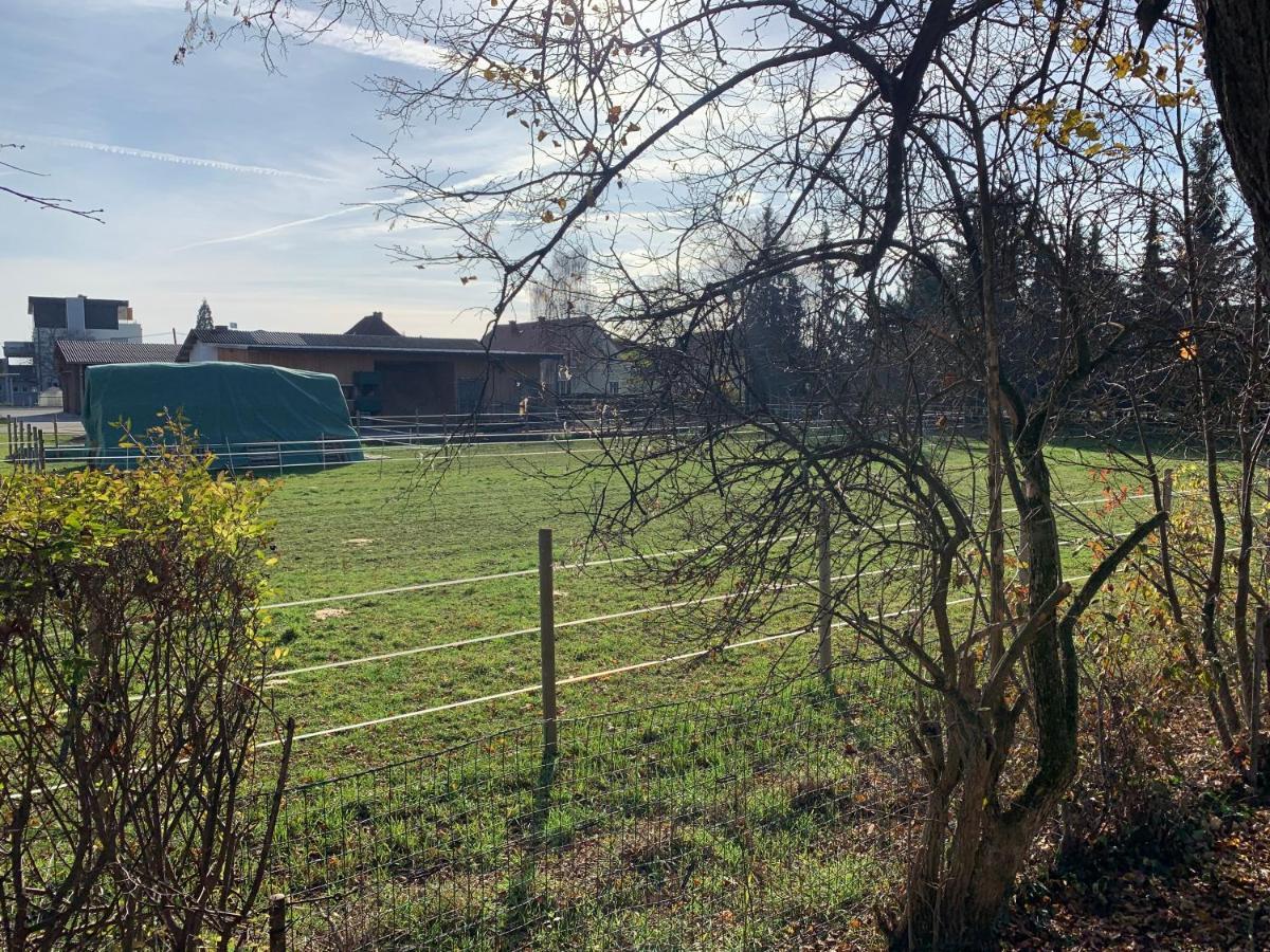 Ned Haus Villa Feldkirchen bei Graz Eksteriør bilde